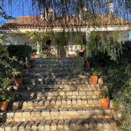 Casa Rural "El Carrasca" El Carrascalejo Екстериор снимка