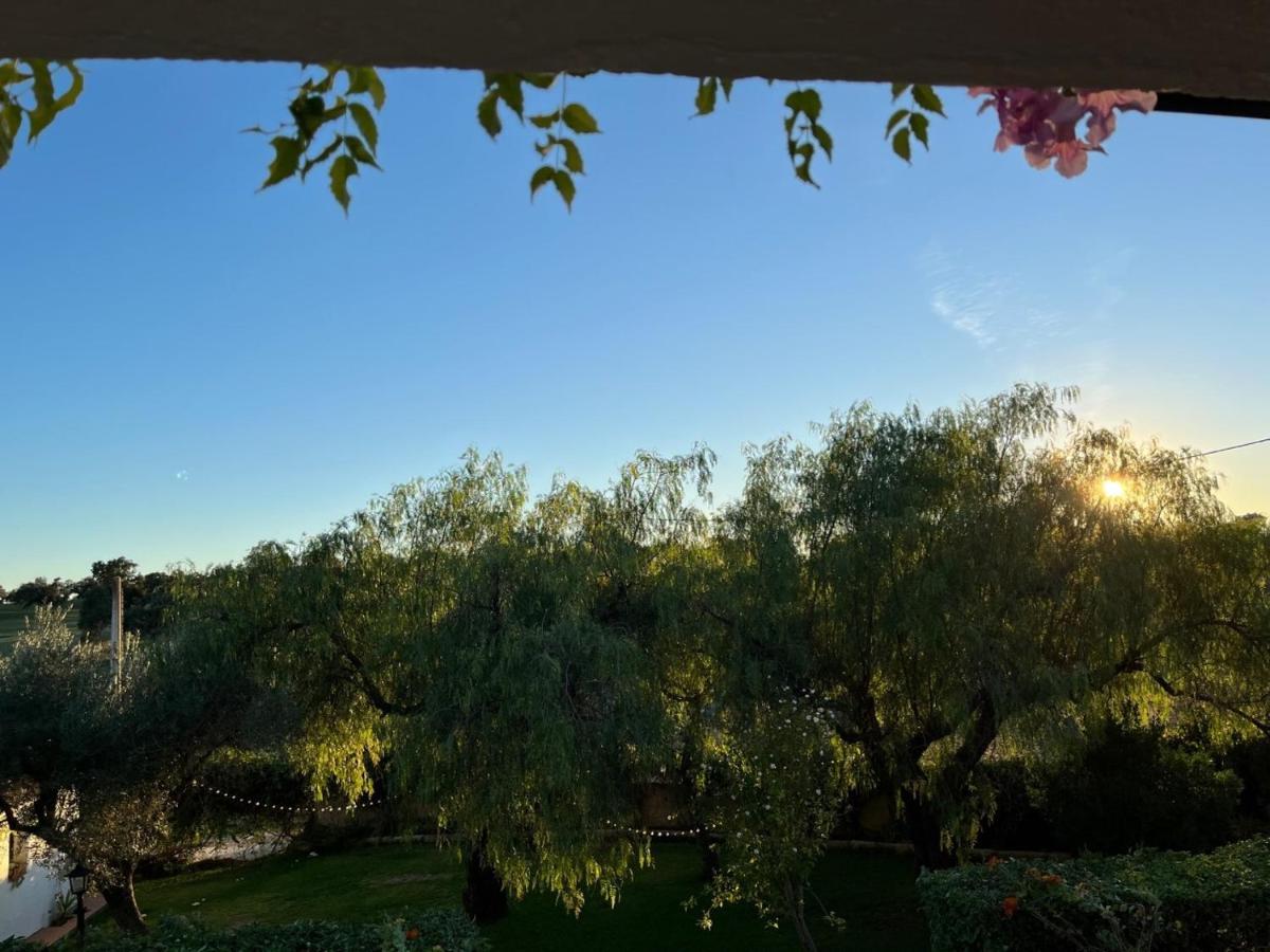 Casa Rural "El Carrasca" El Carrascalejo Екстериор снимка