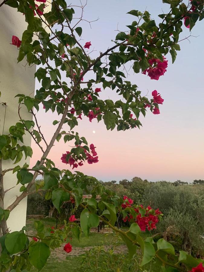 Casa Rural "El Carrasca" El Carrascalejo Екстериор снимка