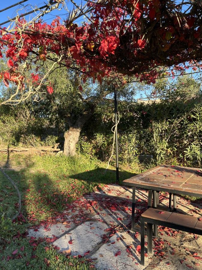 Casa Rural "El Carrasca" El Carrascalejo Екстериор снимка
